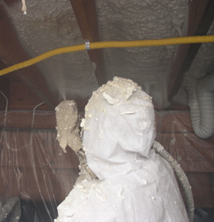 Lowell MA crawl space insulation